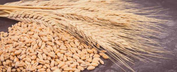 ライ麦や小麦の穀物と暗い背景に穀物の耳のヒープ。ビンテージ写真 - 写真・画像