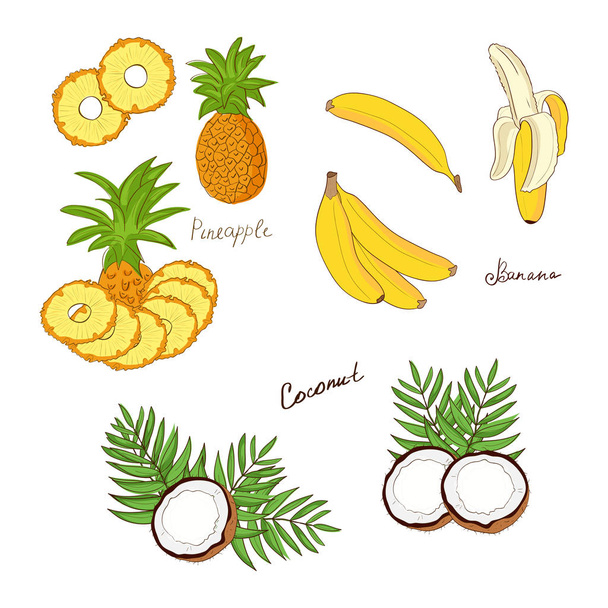 Banaani, kookos, ananas. Valmiina. Doodle, piirrä
 - Vektori, kuva