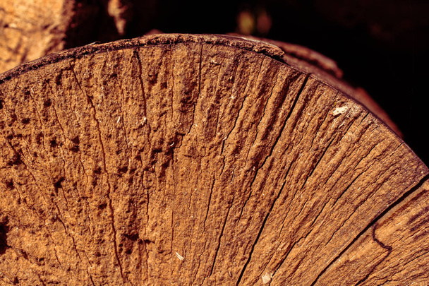 Κόψτε την επιφάνεια κορμού του δέντρου ως υφή φόντου - Φωτογραφία, εικόνα