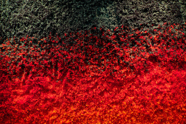 Абстрактний фон і текстура крупним планом барвистий килим. Шаблон і концепція шпалер
 - Фото, зображення