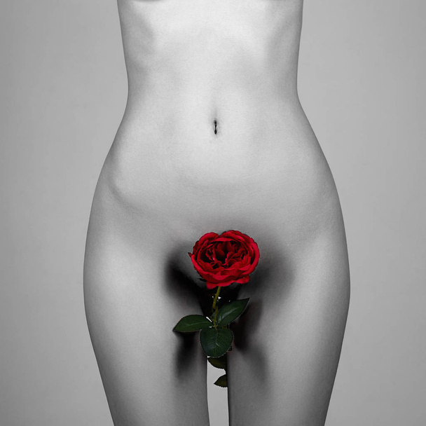 Nude Woman with Flower. Naked Girl with red rose instead of panties - Photo, Image