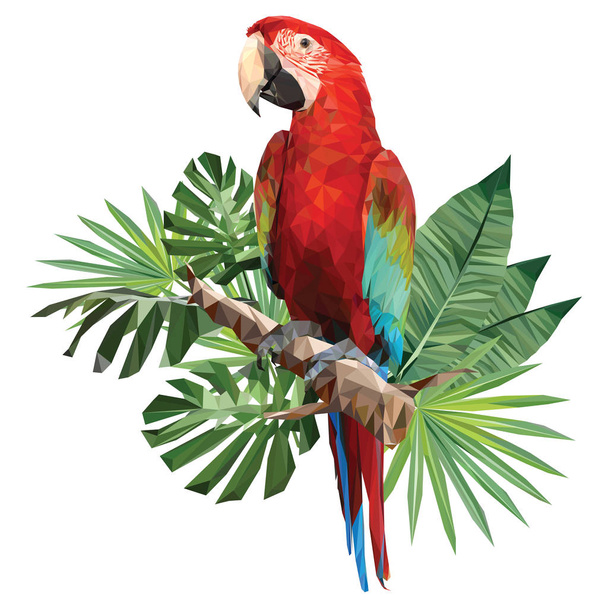 Illustration polygonal drawing of green wing macaw bird with tropical leaf. - Vector, Image