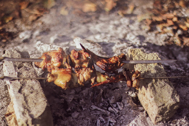 Shish kebab on the improvised oven made of brick - Photo, Image