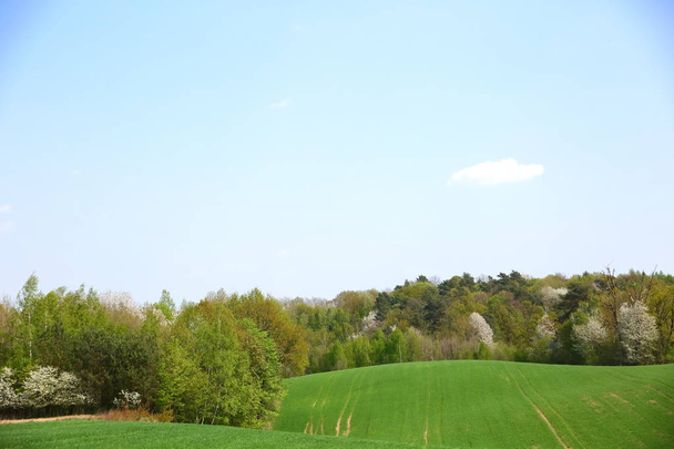 Vista de primavera de extensas terras agrícolas no campo
. - Foto, Imagem