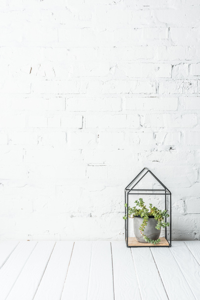 plant in pot on rustic wooden table near white brick wall - Foto, Imagen