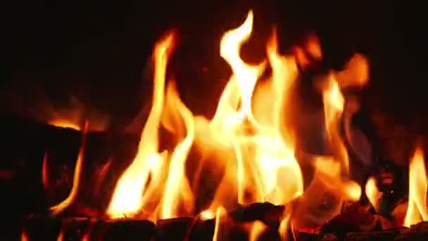 Oranje vlammen van het logs verbranden in de open haard hammam in super slow motion. - Video