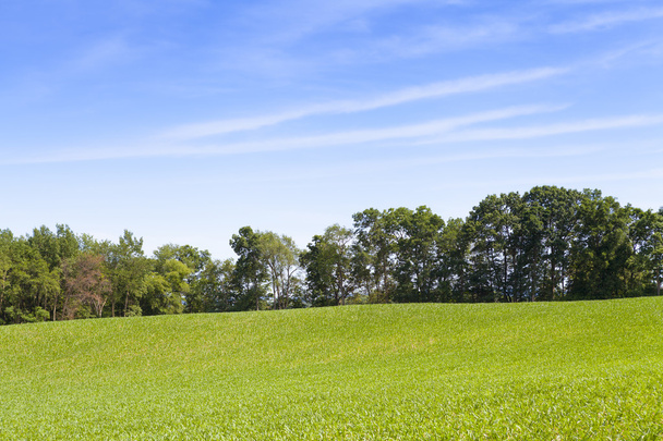 American Farmland With Blue Sky - Zdjęcie, obraz