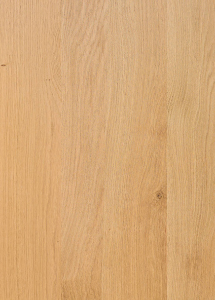 A fragment of a wooden panel hardwood. Oak. - Photo, image