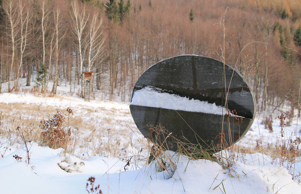 lápida en el cementerio de perros y vista sobre el paisaje con bryony en el borde del bosque en invierno, Beskydy, República Checa
 - Foto, Imagen