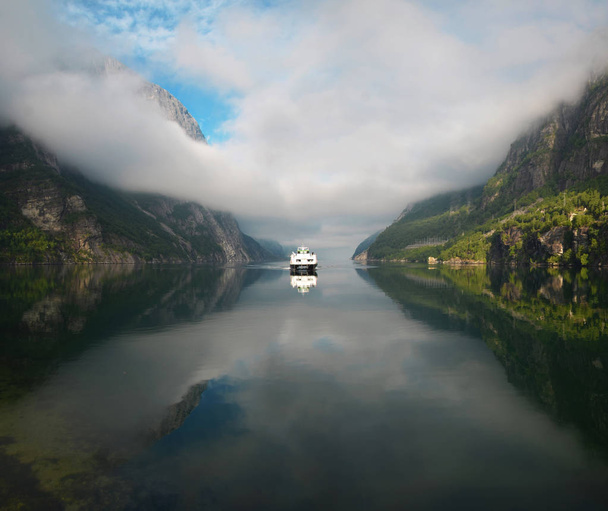 Komp van a fjord. Lysefjord, Norvégia - Fotó, kép