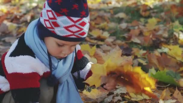 Na venkově, malé dítě hraje v parku s podzimní, zažloutlé listy, sbírá listí v kytici a věří jejich - Záběry, video
