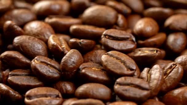 Coffee beans background. Close-up of a rotating panel, filled with brown roasted appetizing coffee beans. 4K - Video, Çekim