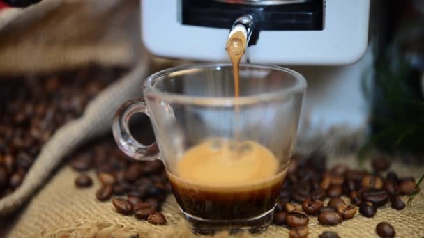 elektrische Kaffeemaschine bereitet Espresso-Kaffee in Glasbecher zu - Filmmaterial, Video
