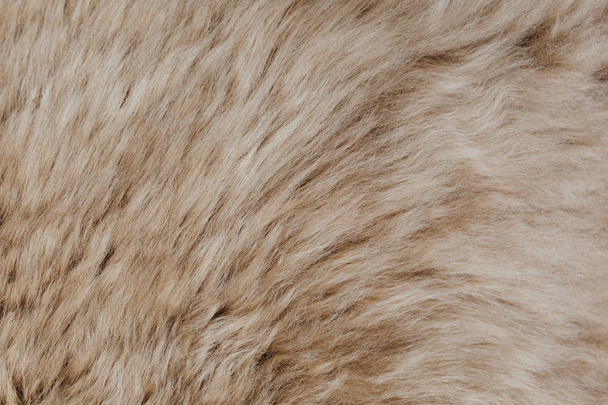 brown sheepskin fur texture background - Photo, Image