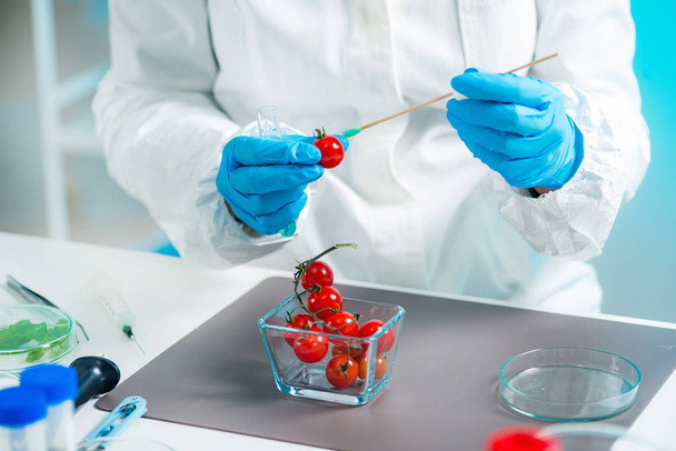 Biólogo examinando tomate cherry para pesticidas
 - Foto, imagen