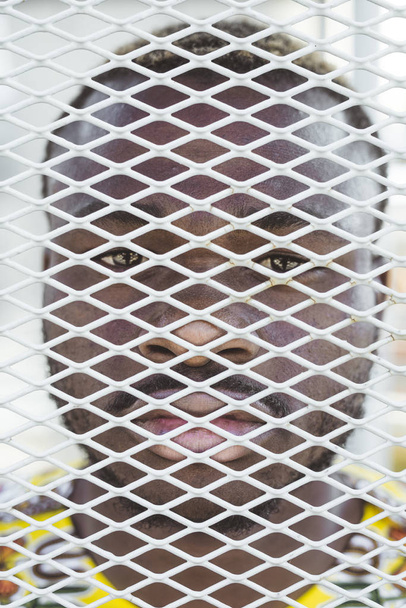 Afryki człowiek za bramę z grilla - Zdjęcie, obraz