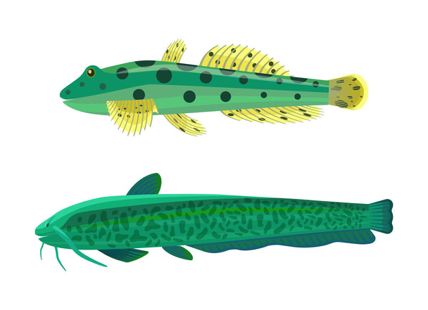 Wels Catfish Green Fish Set Vector Illustration - Vektor, Bild