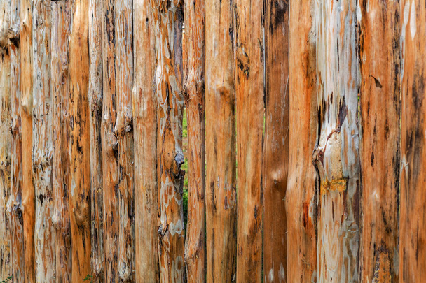 Fából készült kerítés a friss fenyő és lucfenyő rönkfa. Falak és ajtók fából készült henger rönkfa. Pajzs, párhuzamos fából készült gerendák fenyő kerek sok új - Fotó, kép
