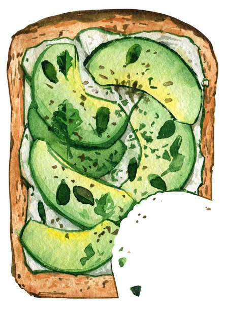 Sandwich mordu pain d'avocat nourriture saine aquarelle
 - Photo, image