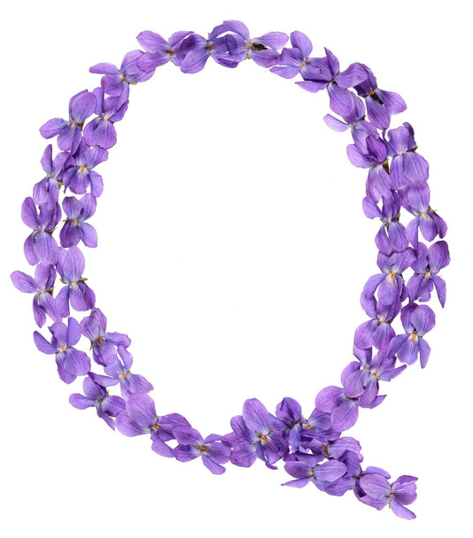 Буква Q из алфавита, из фиолетовых цветов, выделенных на белом фоне
 - Фото, изображение
