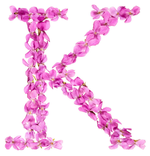 Letra K do alfabeto, de flores de violeta, isolado sobre fundo branco
 - Foto, Imagem