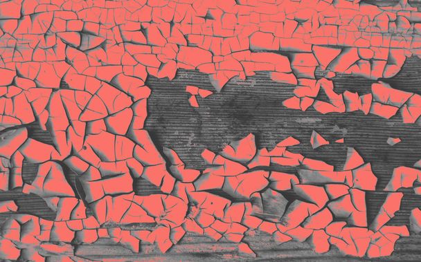 lebende Korallen trendy Bakground. Textur aus alter und abgeblätterter Farbe auf Holzgrund. - Foto, Bild