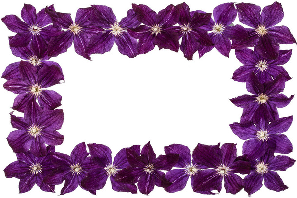 Rectangular frame from  the flowers of clematis, isolated on white background - Photo, Image
