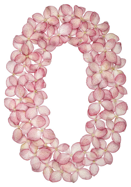 Chiffre arabe 0, zéro, extrait de fleurs d'hortensia, isolé sur fond blanc
 - Photo, image