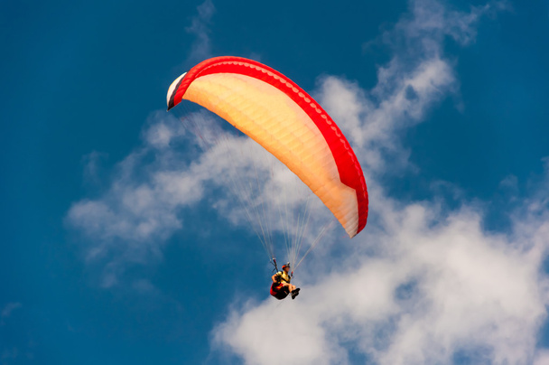 colorful hang glider in sky over blue sea - Photo, Image