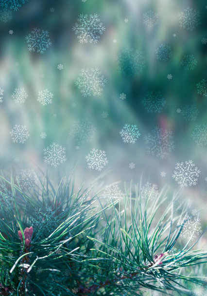 Evergreen pine branches on a fabulous, snowy, Christmas background with bokeh, snowflakes, lights - Foto, Imagen