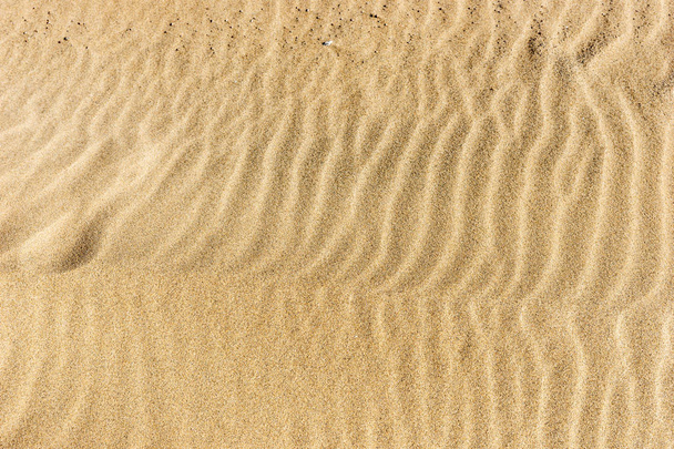 Άμμο στην παραλία. Αμμώδης παραλία για το φόντο - Φωτογραφία, εικόνα