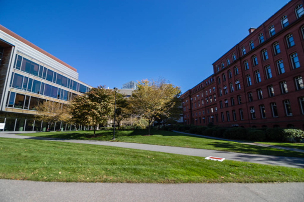 Tradición y modernidad en la Universidad de Harvard, MA
 - Foto, Imagen