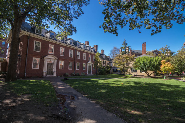 A Harvard udvar közelében - Fotó, kép