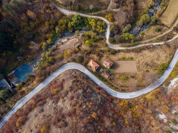 Autunno foresta drone tiro aereo, Vista aerea di alberi fogliame e strada. - Foto, immagini