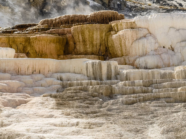 Water, steam and sulfur rushing down the hill - Mammoth hot springs, the Yellowstone National Park, USA - Фото, зображення
