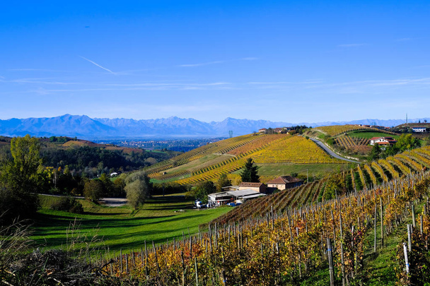 the Piedmontese Langhe in autumn with its vineyards and its rolling hills - Photo, Image