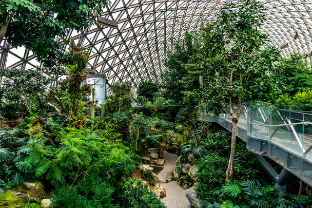 China Shanghai Botanical Garden Greenhouse Humid Subtropical Climate Trees and Plants - Photo, Image