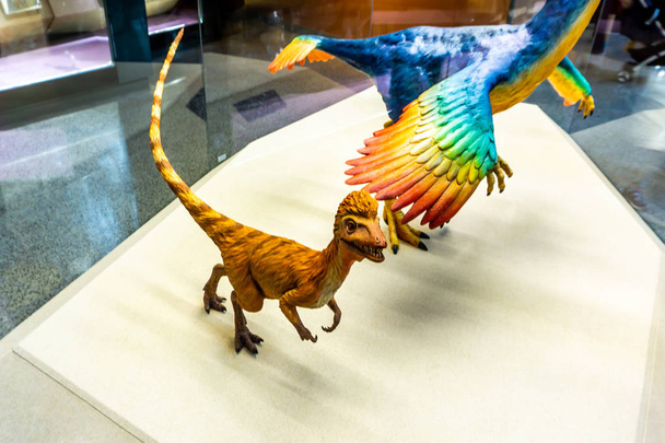 Шанхай науково-природознавчий музей інтер'єр з видом на маленький милий Raptor ірокезів стрижка - Фото, зображення