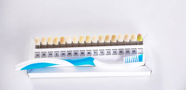 人工的な総義歯の歯ブラシと色のサンプル - 写真・画像