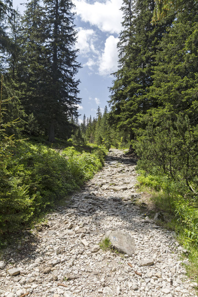 Landschap van wandelpad voor Malyovitsa piek, Rila Mountain, Bulgarije - Foto, afbeelding