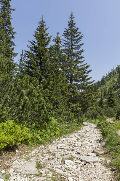 Landscape from hiking trail for Malyovitsa peak, Rila Mountain, Bulgaria - Foto, afbeelding
