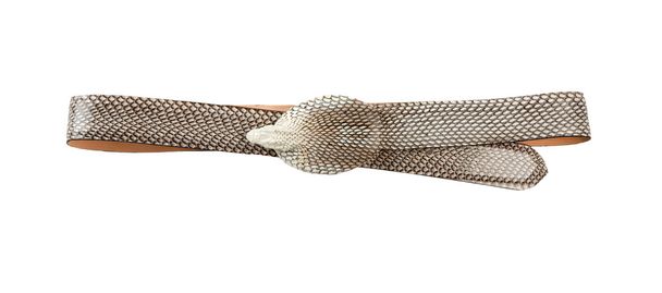 Cobra skin belt - Photo, Image