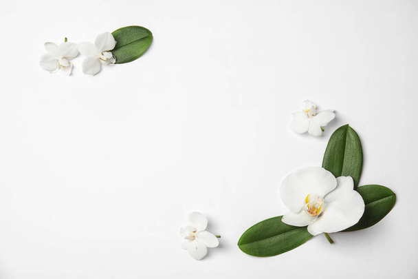 Beautiful tropical orchid flowers on white background, top view. Space for text - Fotografie, Obrázek