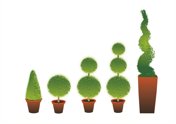 topiary θάμνοι - Φωτογραφία, εικόνα