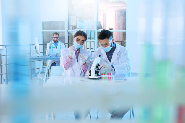 Young scientists working in laboratory. Chemical analysis - Φωτογραφία, εικόνα