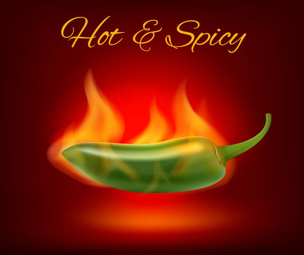 Mexican jalapeno hot chili pepper in fire flame - Διάνυσμα, εικόνα