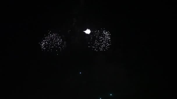 Fuochi d'artificio nella città di sera, saluto, vacanza, anniversario, gente, città, sera
 - Filmati, video