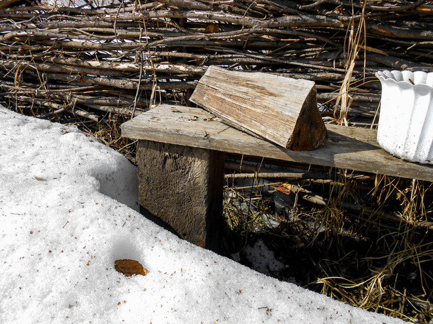 el comienzo de la primavera, tirando de la corteza de hielo en la nieve, campo, troncos desnudos de abedules, ramitas de arbustos en descongelados, rastros
 - Foto, Imagen