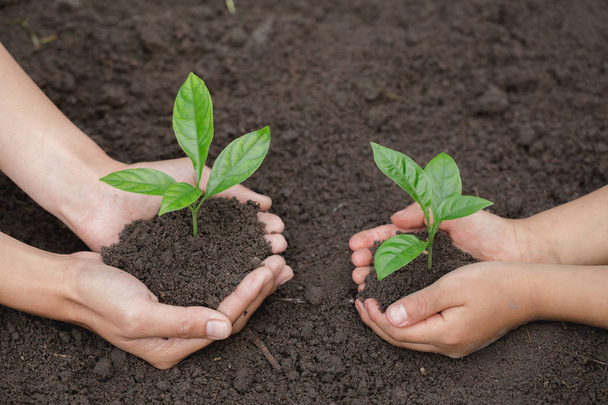 De handen van de vrouw en het kind om de zaailingen te planten in de bodem, plant een boom, vermindering van de opwarming van de aarde, World Environment Day ecologie concept. - Foto, afbeelding