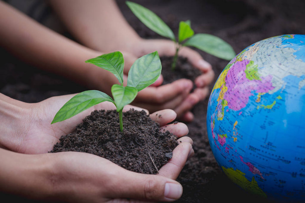 La main adulte et la main enfant tiennent un petit arbre à côté du globe, plantent un arbre, réduisent le réchauffement climatique, Journée mondiale de l'environnement
 - Photo, image